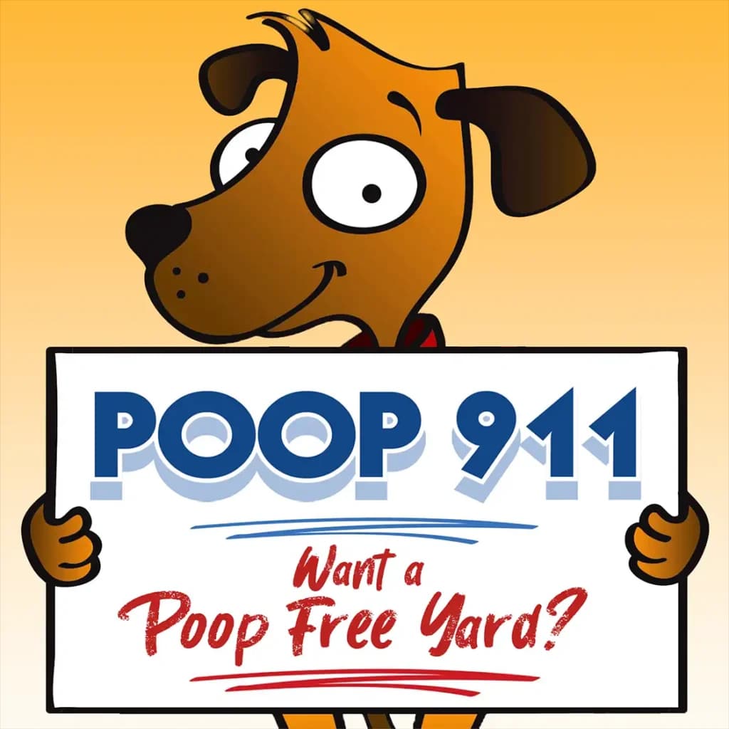What Does a Professional Pooper Scooper Service Actually Do?